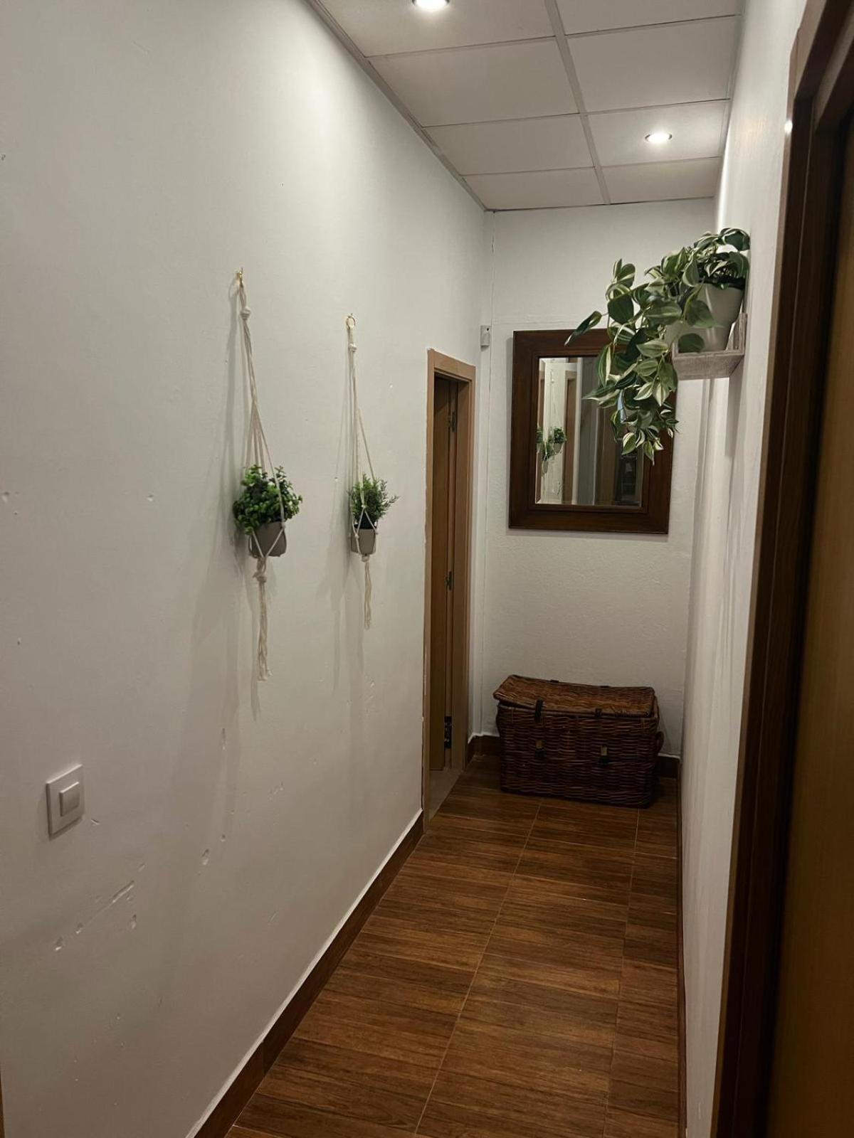 Villa Dehesa Olive ลูซีนา ภายนอก รูปภาพ